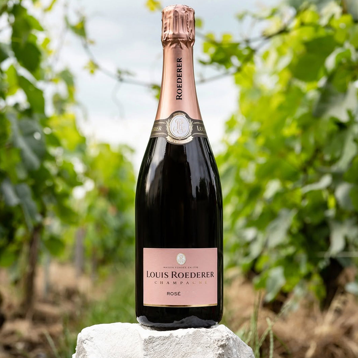 Louis Roederer Rosé Champagne 2018 375ml - Kent Street Cellars