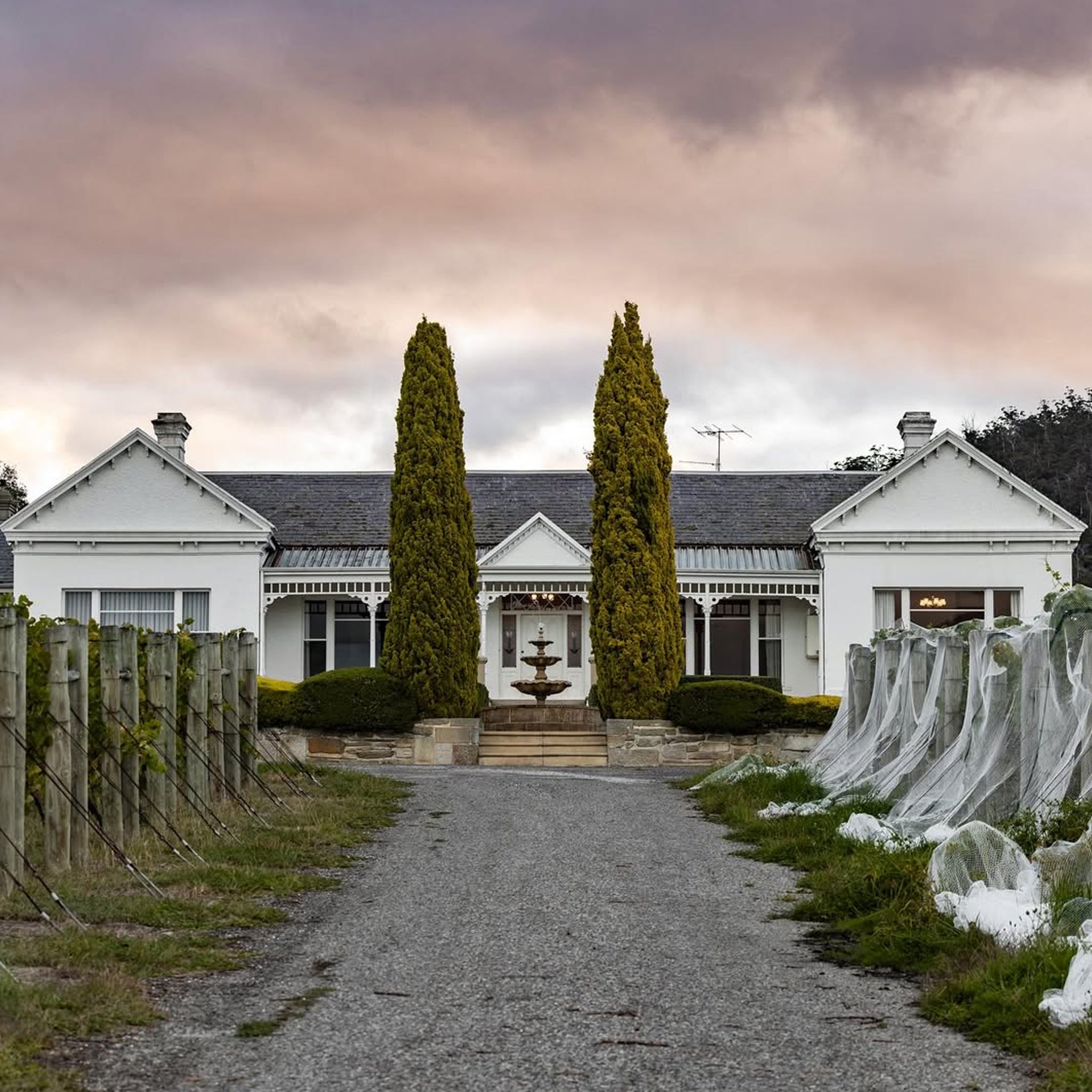 Lowestoft Estate Chardonnay 2023