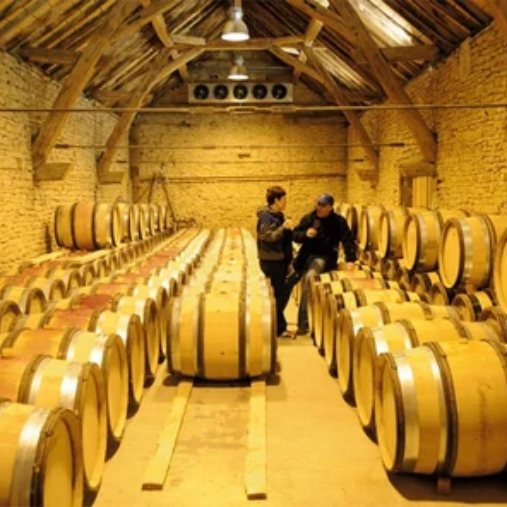 Domaine Lucien Muzard Bourgogne Rouge 2024