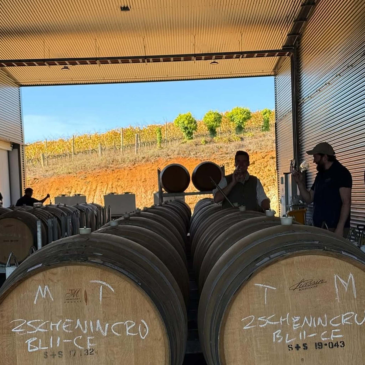 MMAD Grenache 2023