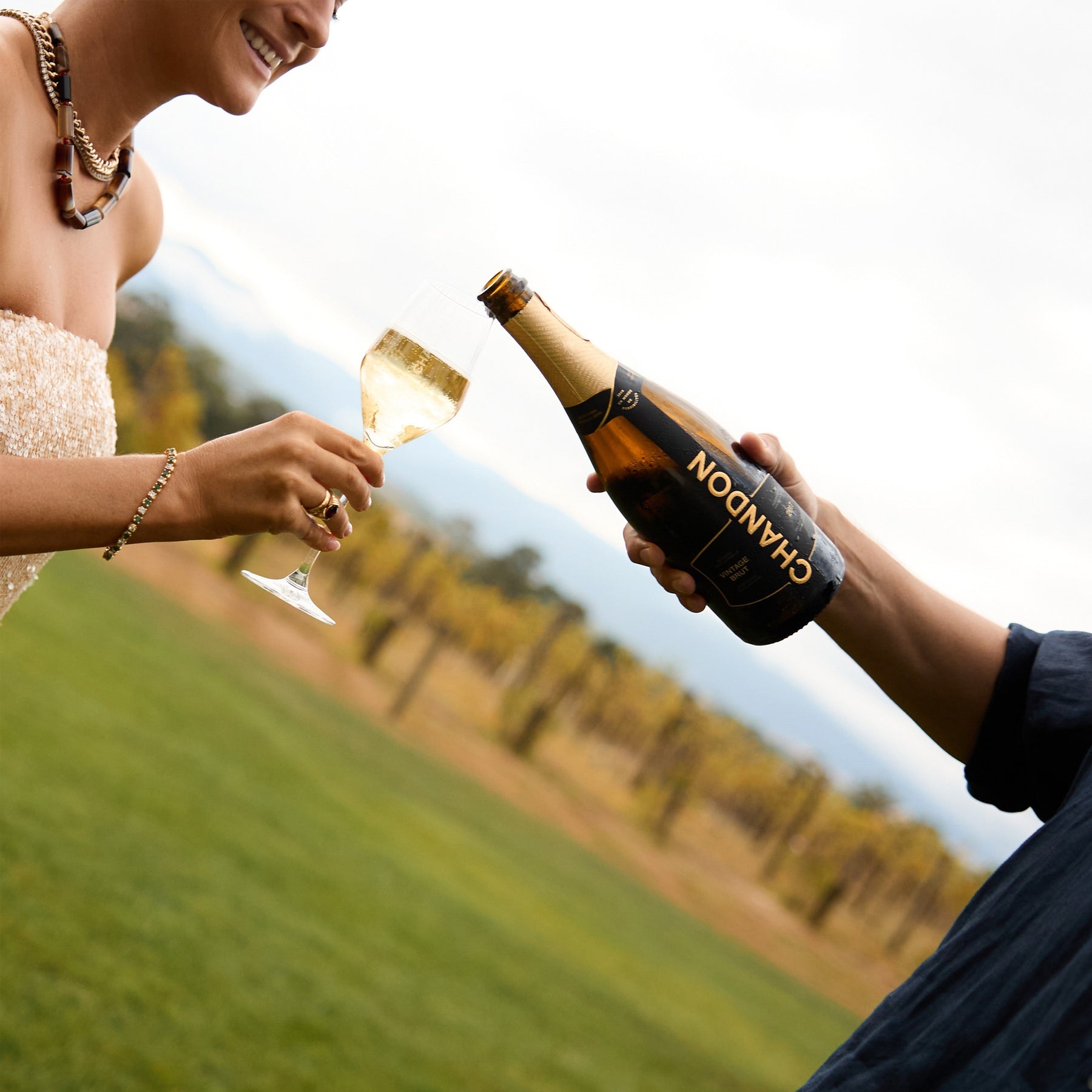 Chandon Vintage Brut 2018 750ml - Kent Street Cellar