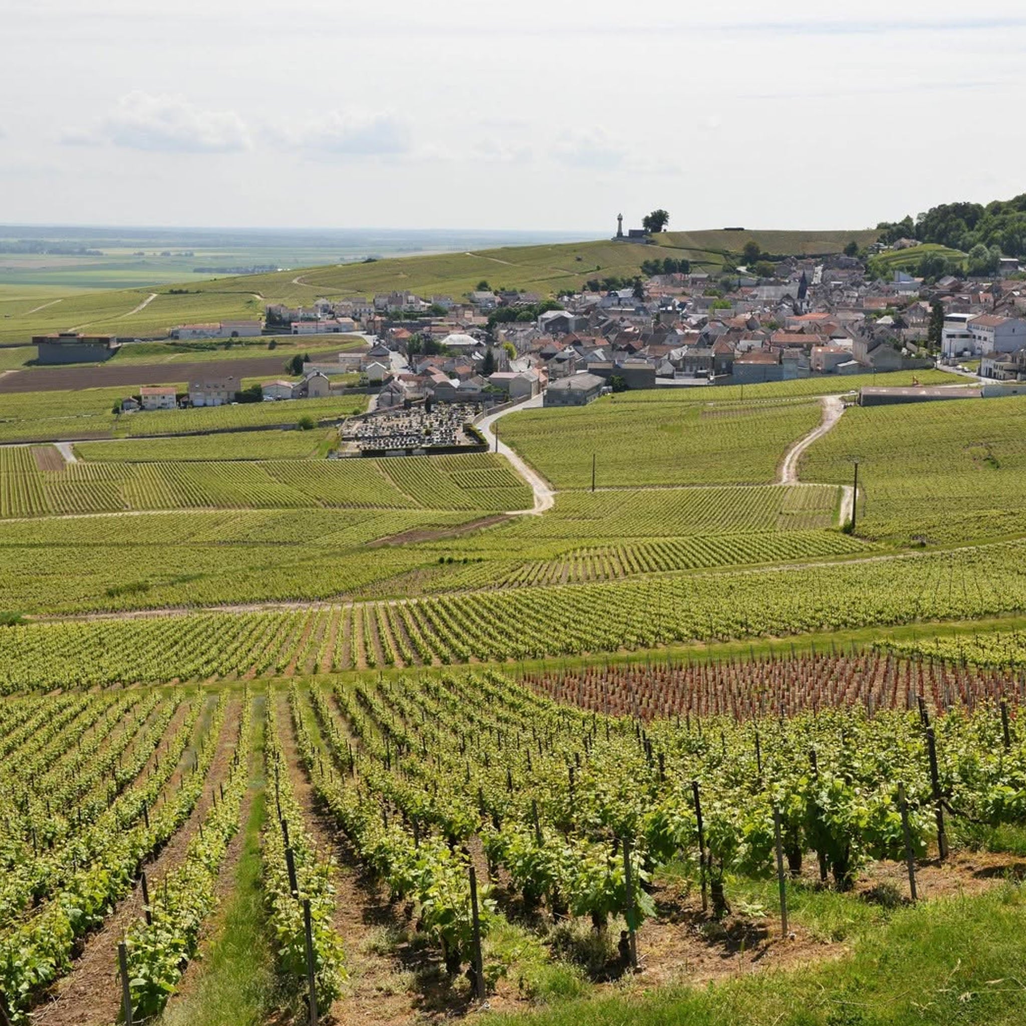 Maison Mumm RSRV Cuvée Lalou 2008