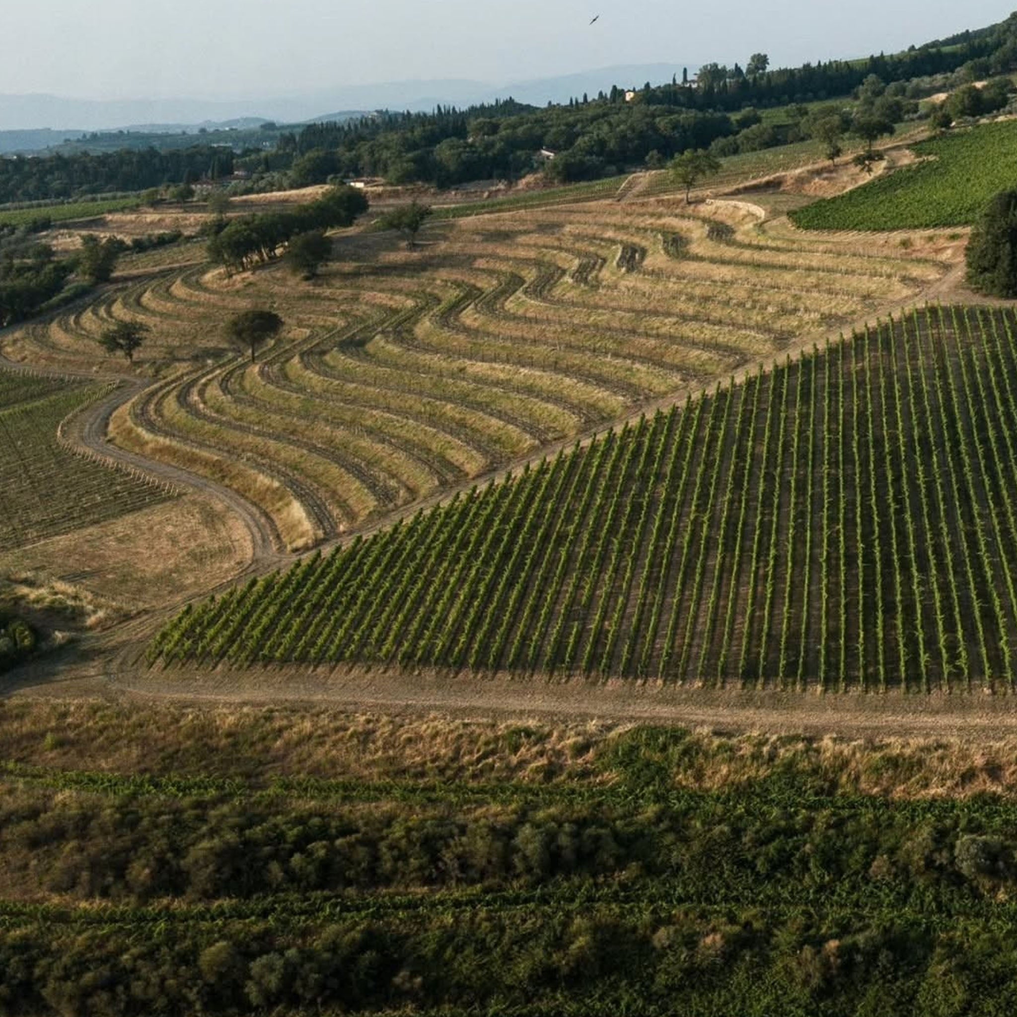 Marchesi Antinori Tignanello 2020