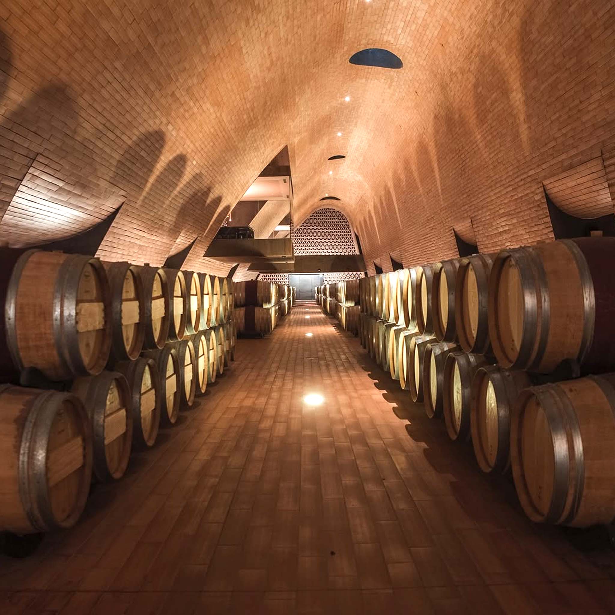 Marchesi Antinori Tignanello 2022
