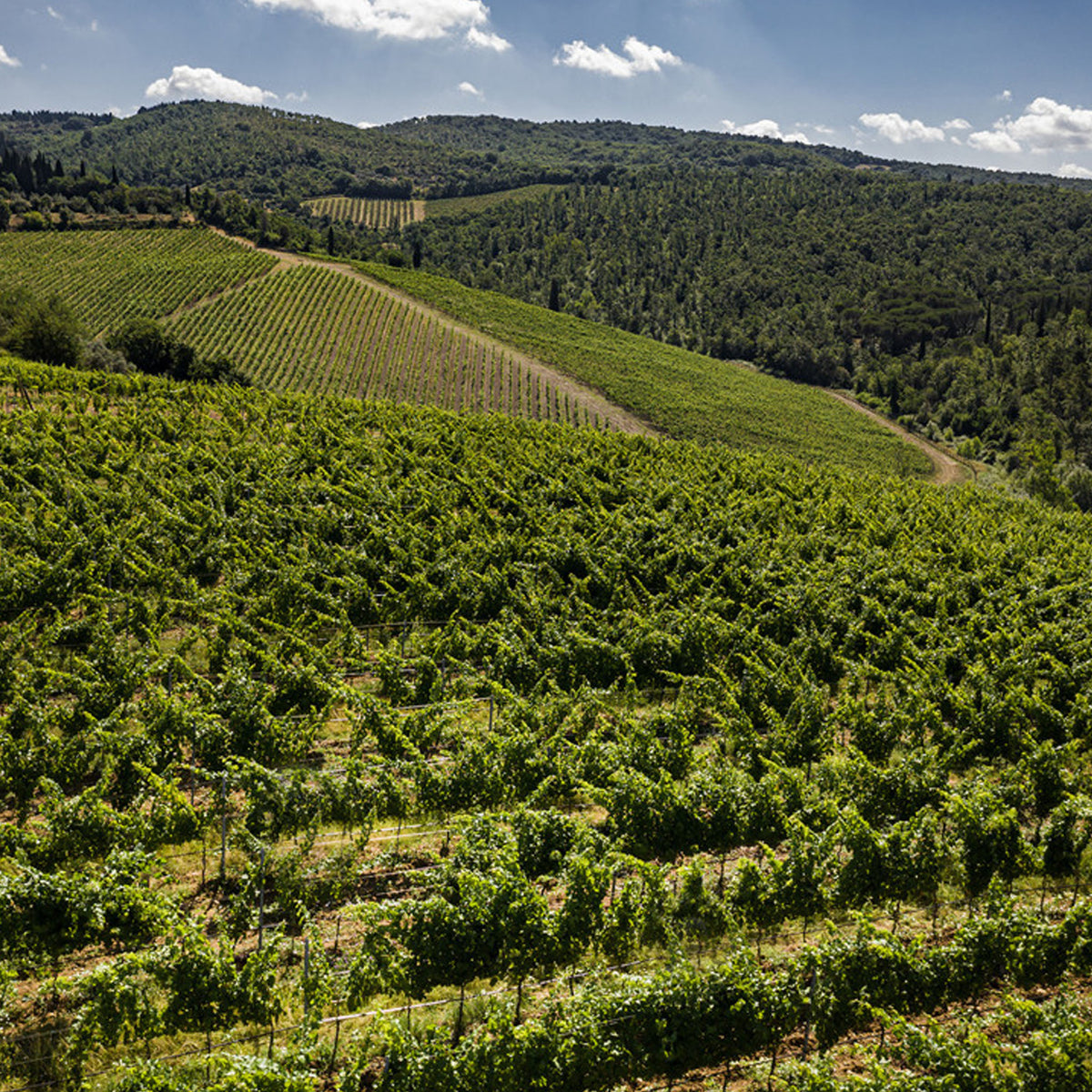 Marchesi Antinori Tignanello 2015