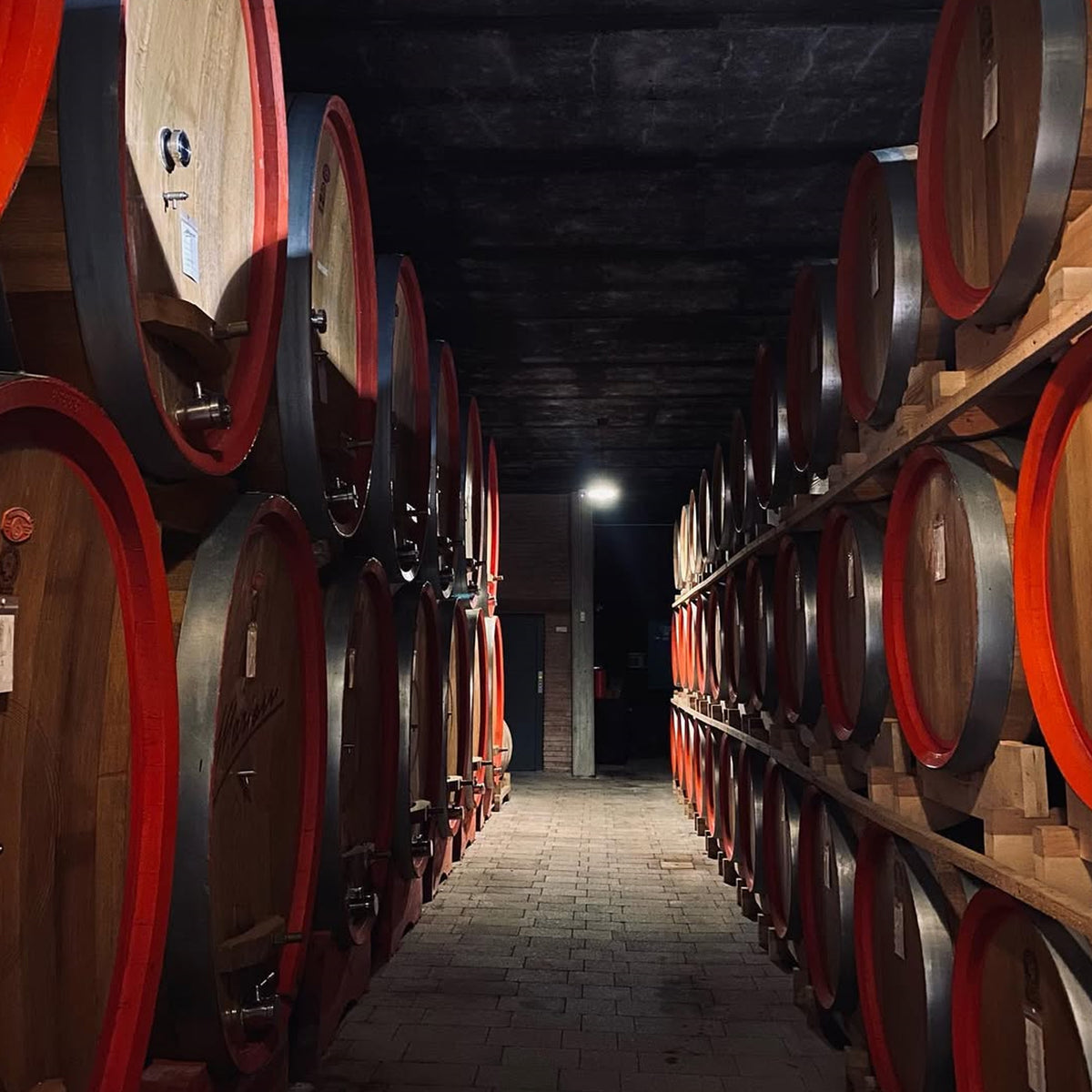 Marion Amarone della Valpolicella 2018