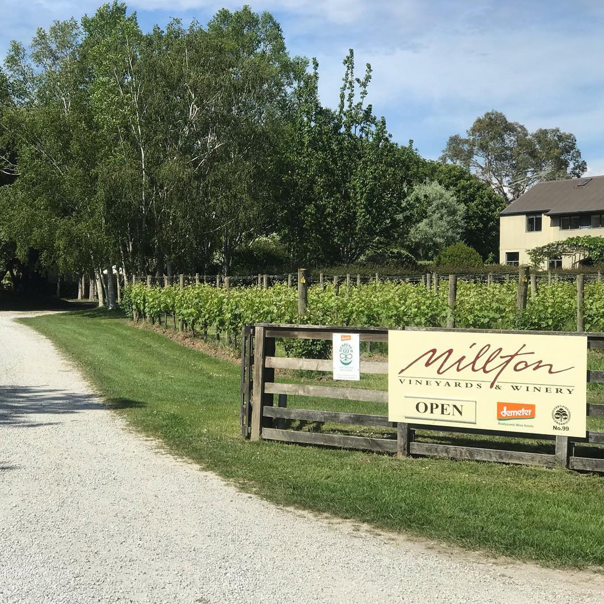 Millton Te Arai Chenin Blanc 2024