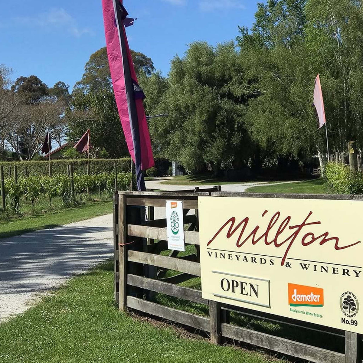 Millton Te Arai Chenin Blanc 2025