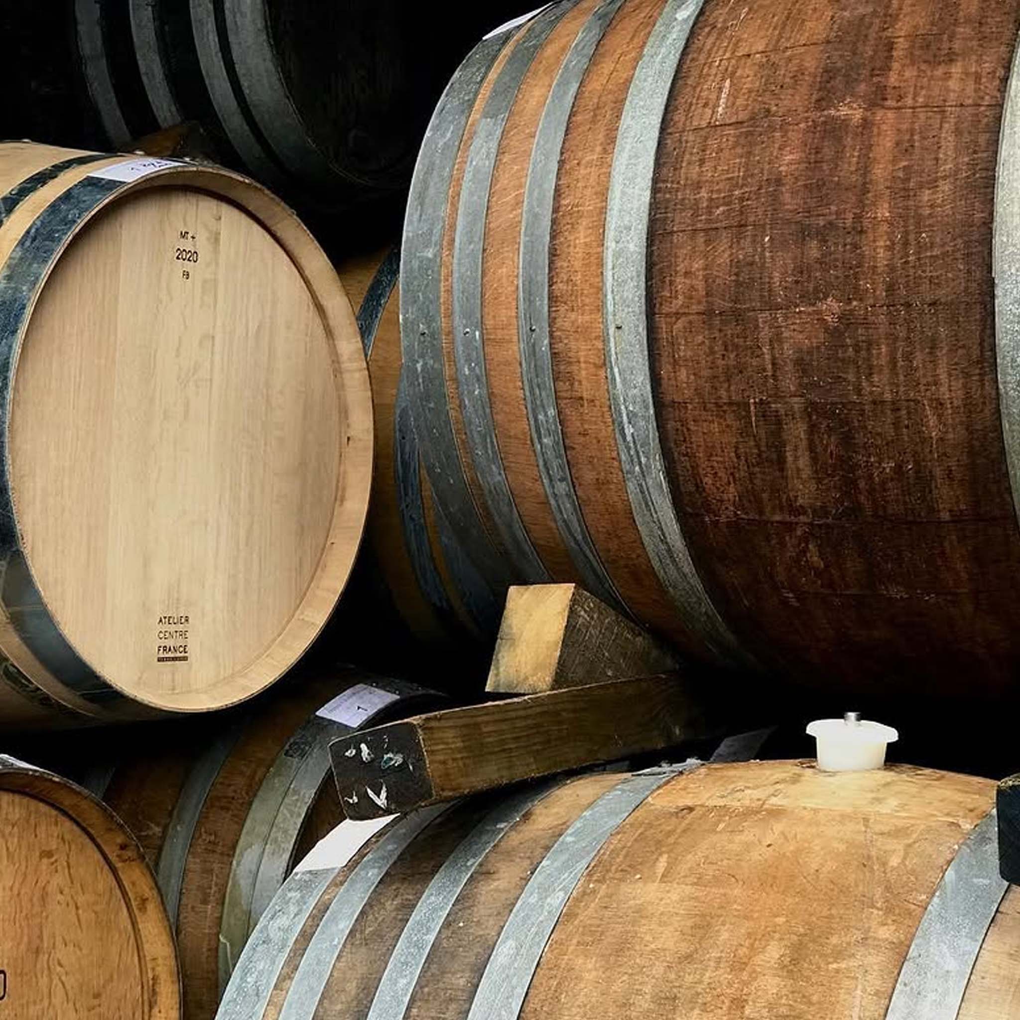 Millton Te Arai Chenin Blanc 2025