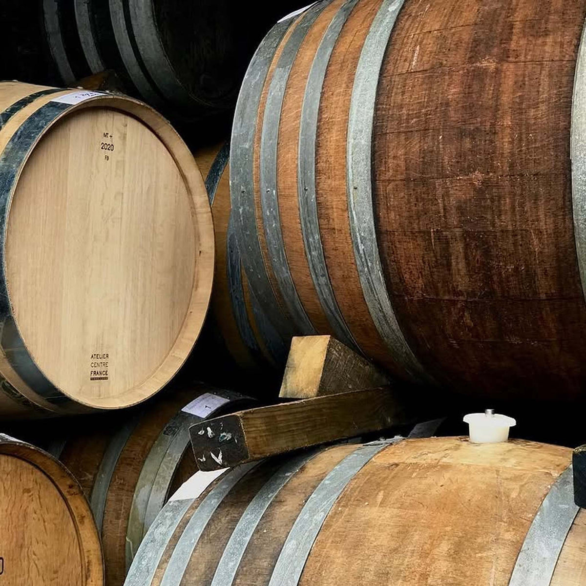 Millton Te Arai Chenin Blanc 2025