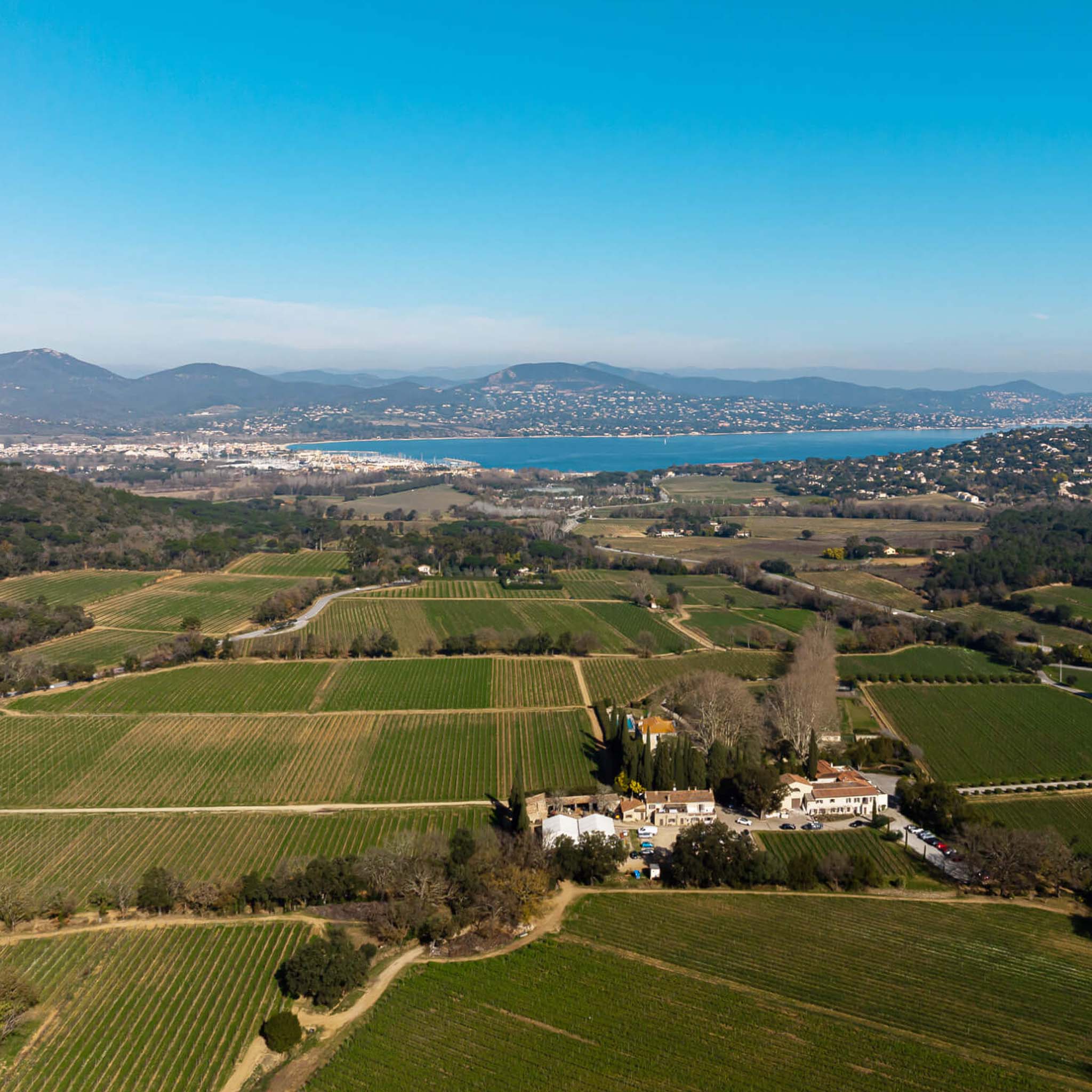 Minuty Prestige Rosé 2024