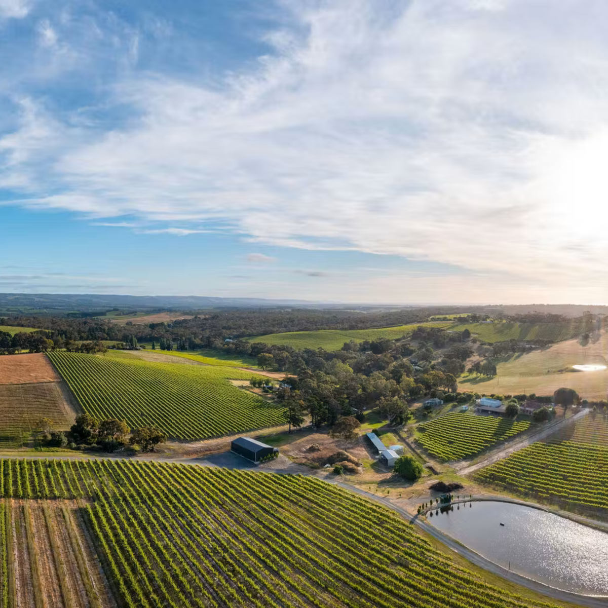 MMAD Chenin Blanc 2025