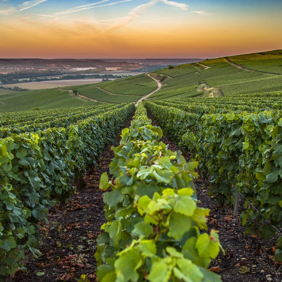 Philosophy brand story