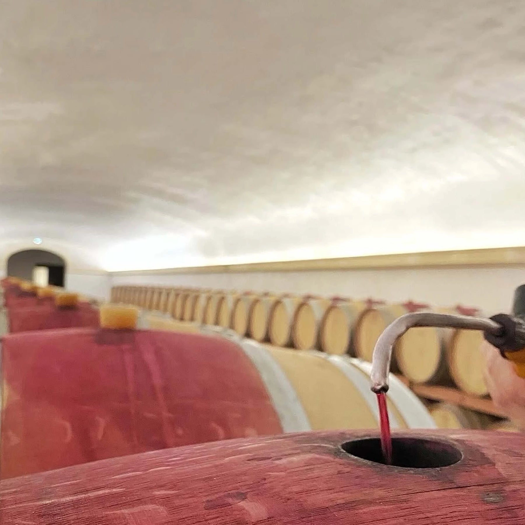 Chateau Mont-Redon Châteauneuf-du-Pape Blanc 2024