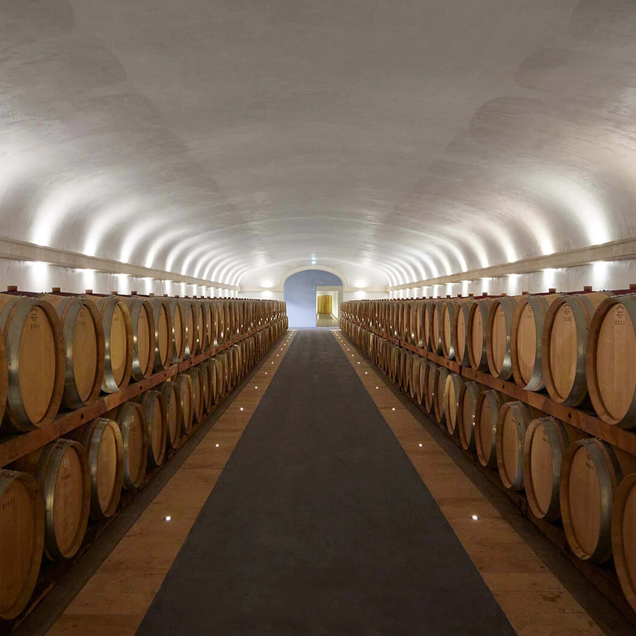 Chateau Mont-Redon Châteauneuf-du-Pape Blanc 2024