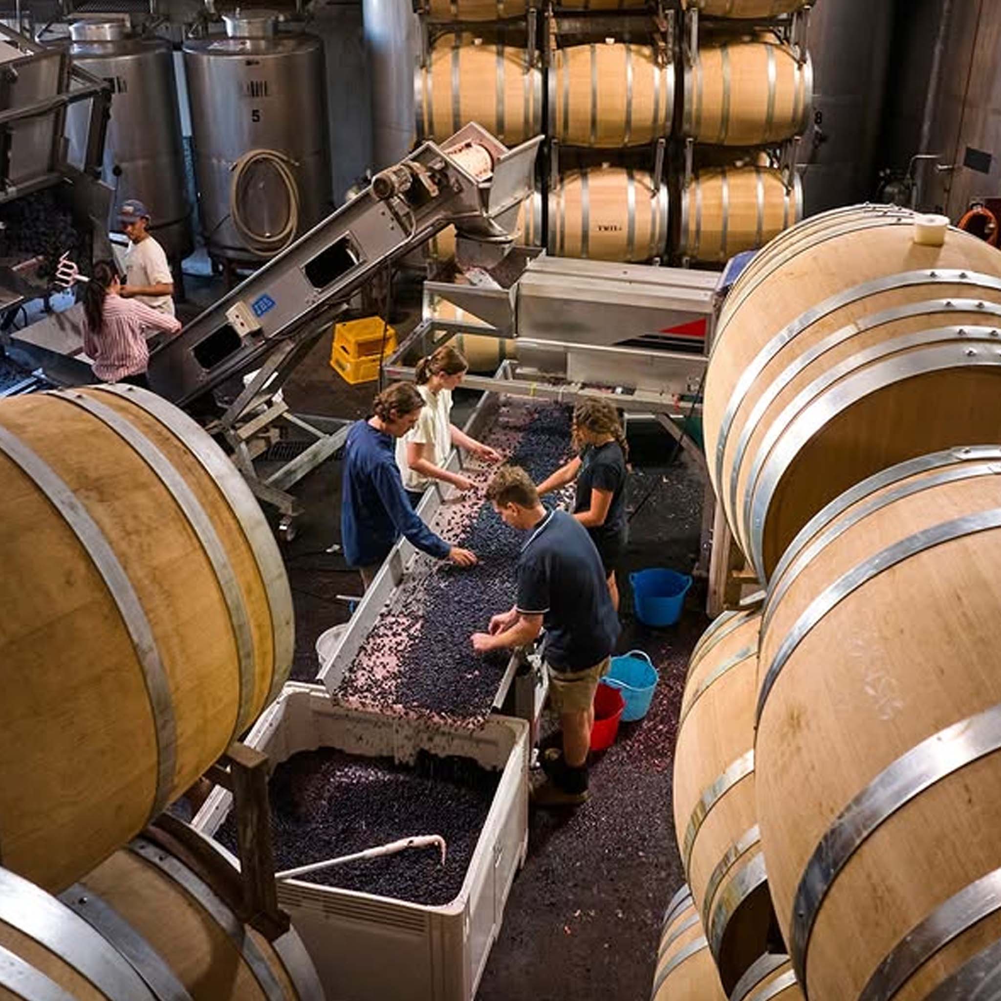 Moss Wood Amy's Cabernet Blend 2024