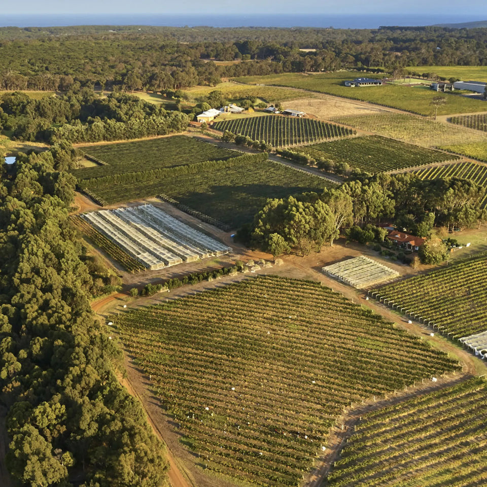 The Vineyard brand story