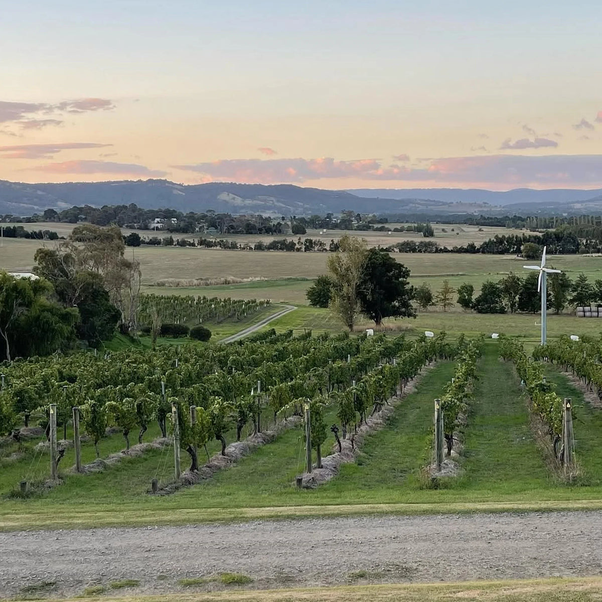Mount Mary Reflexion Chardonnay 2024