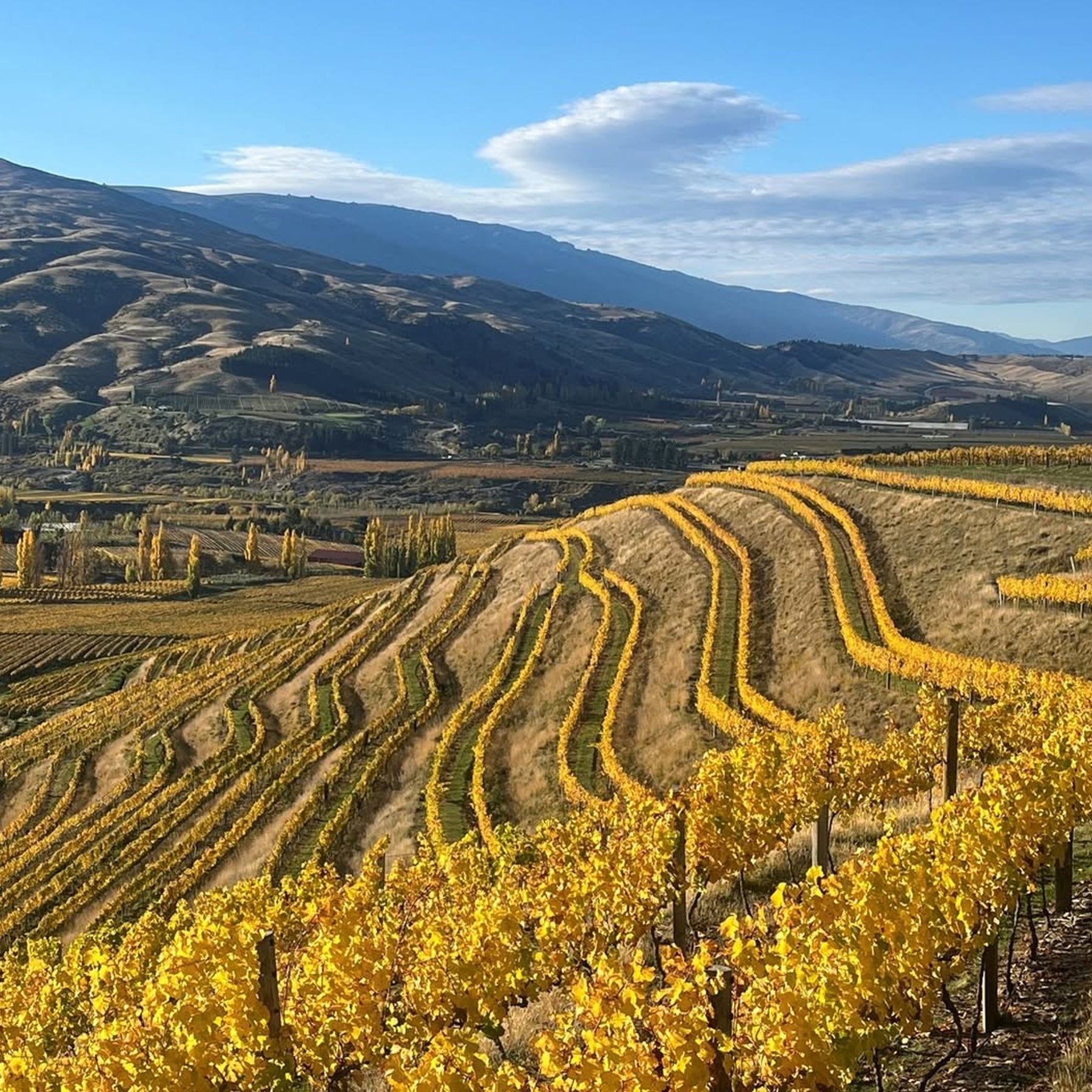 Mt. Difficulty Bannockburn Pinot Noir 2024