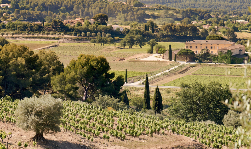 Vineyard brand story