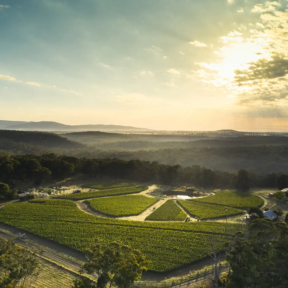 The Vineyard brand story