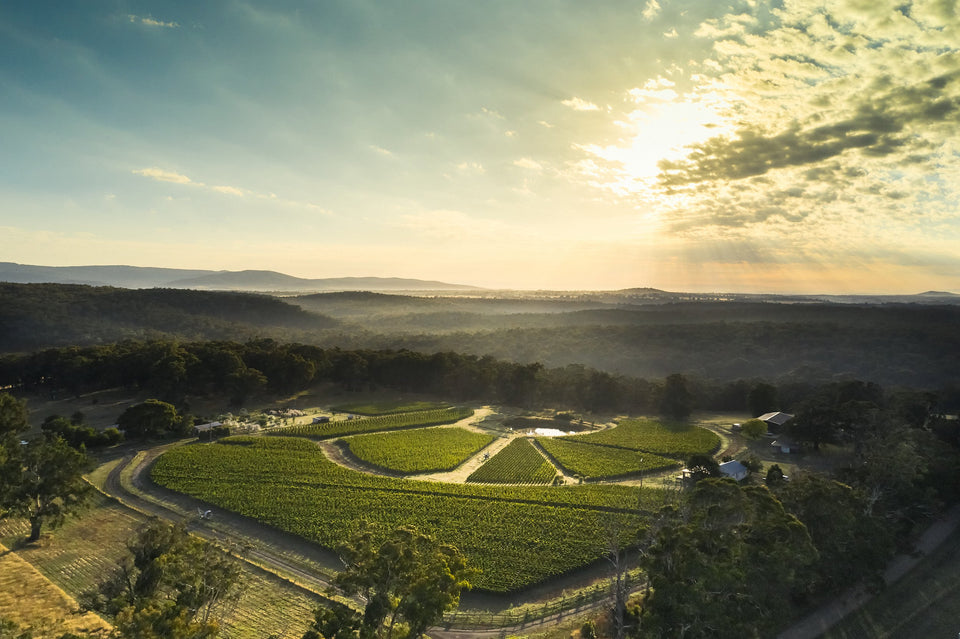 The Vineyard brand story