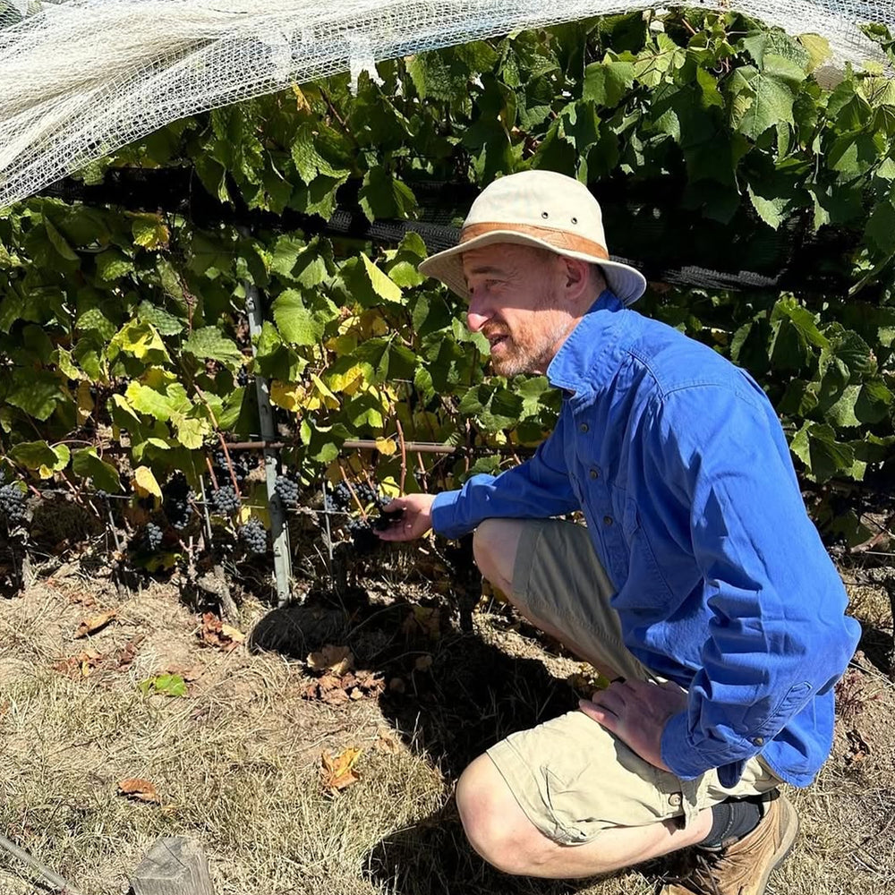 Place of Changing Winds Between Two Mountains Pinot Noir 2023