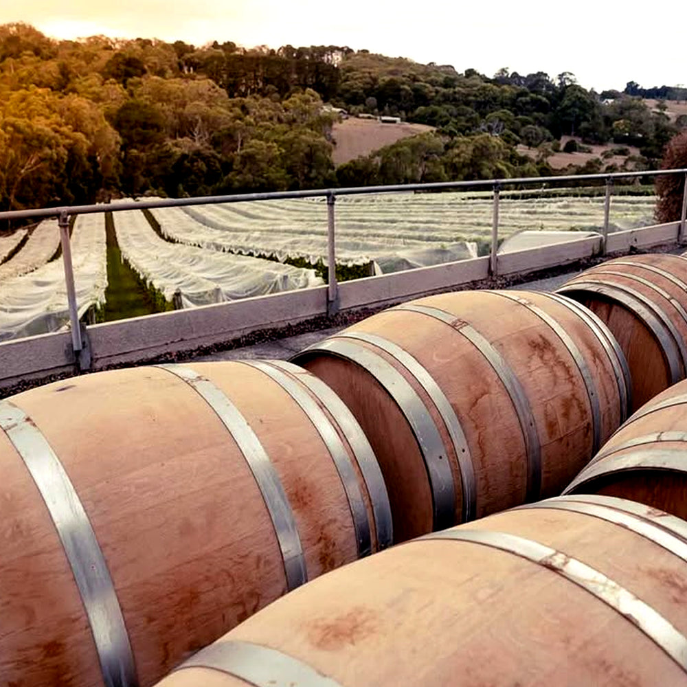 Paringa Estate Peninsula Chardonnay 2024