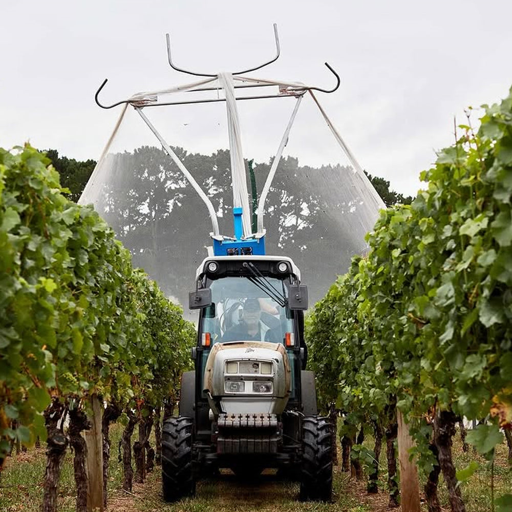 Paringa Estate Peninsula Chardonnay 2024