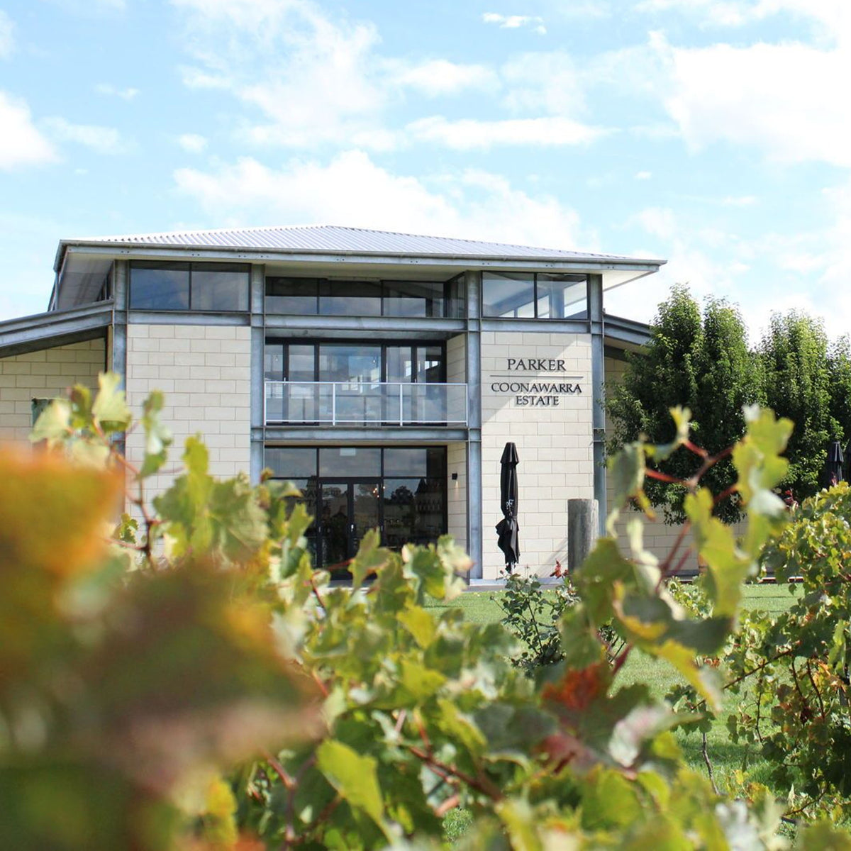 Parker Coonawarra Estate First Growth Cabernet Sauvignon 2021