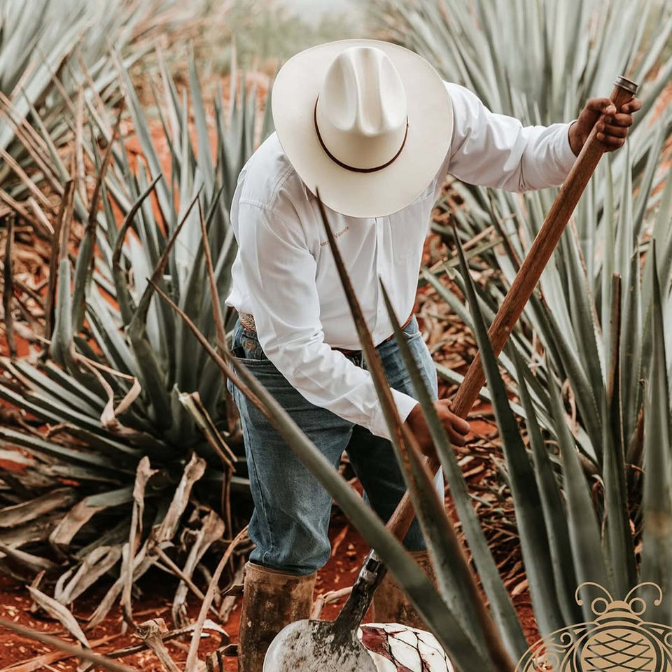 Patron brand story