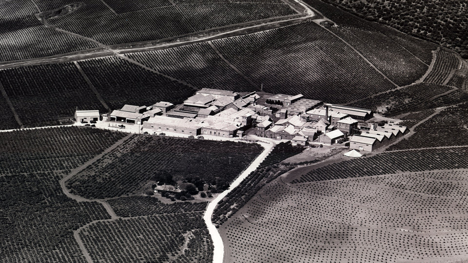 The Vineyard brand story