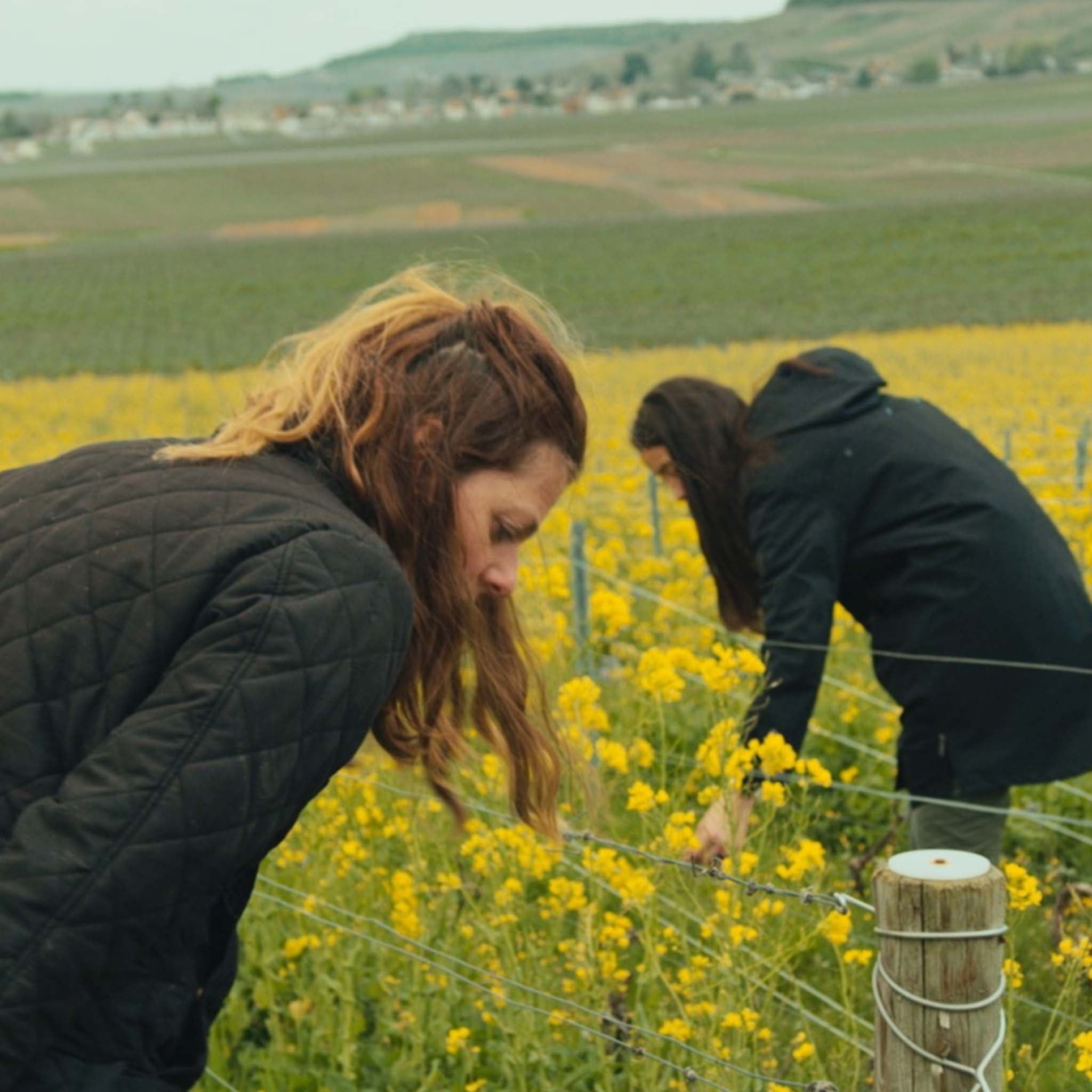 Perrier-Jouët Grand Brut NV