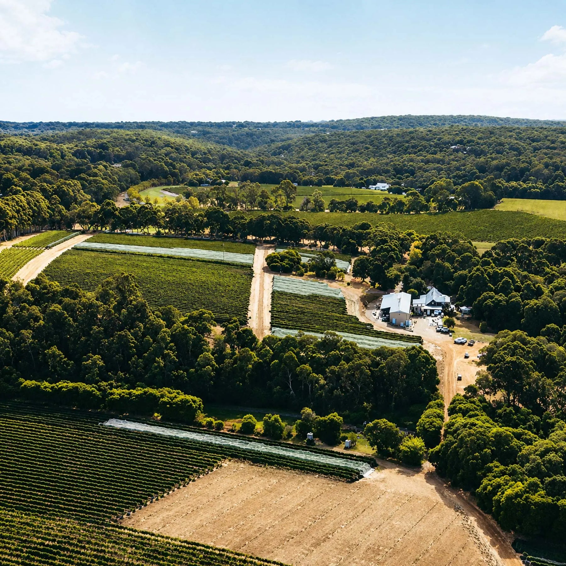 Pierro VR Chardonnay 2022