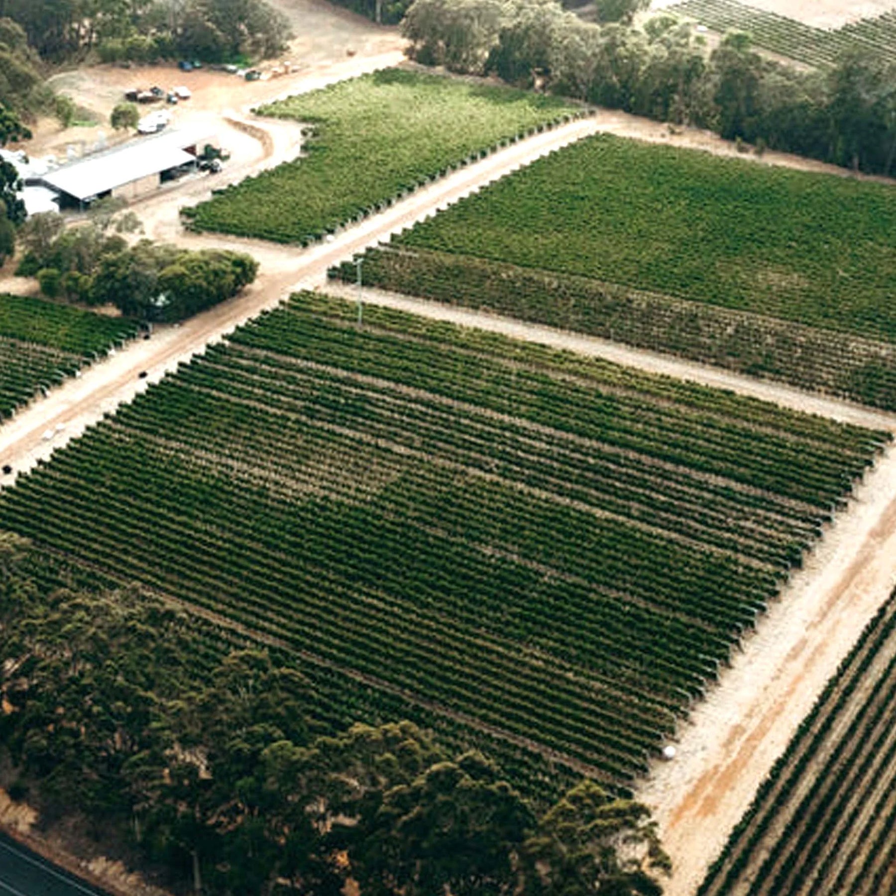 Pierro VR Chardonnay 2022