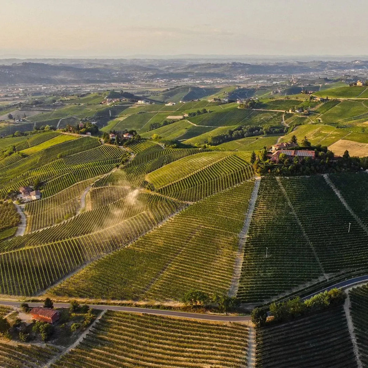 Pio Cesare Barbaresco Il Bricco di Treiso 2021
