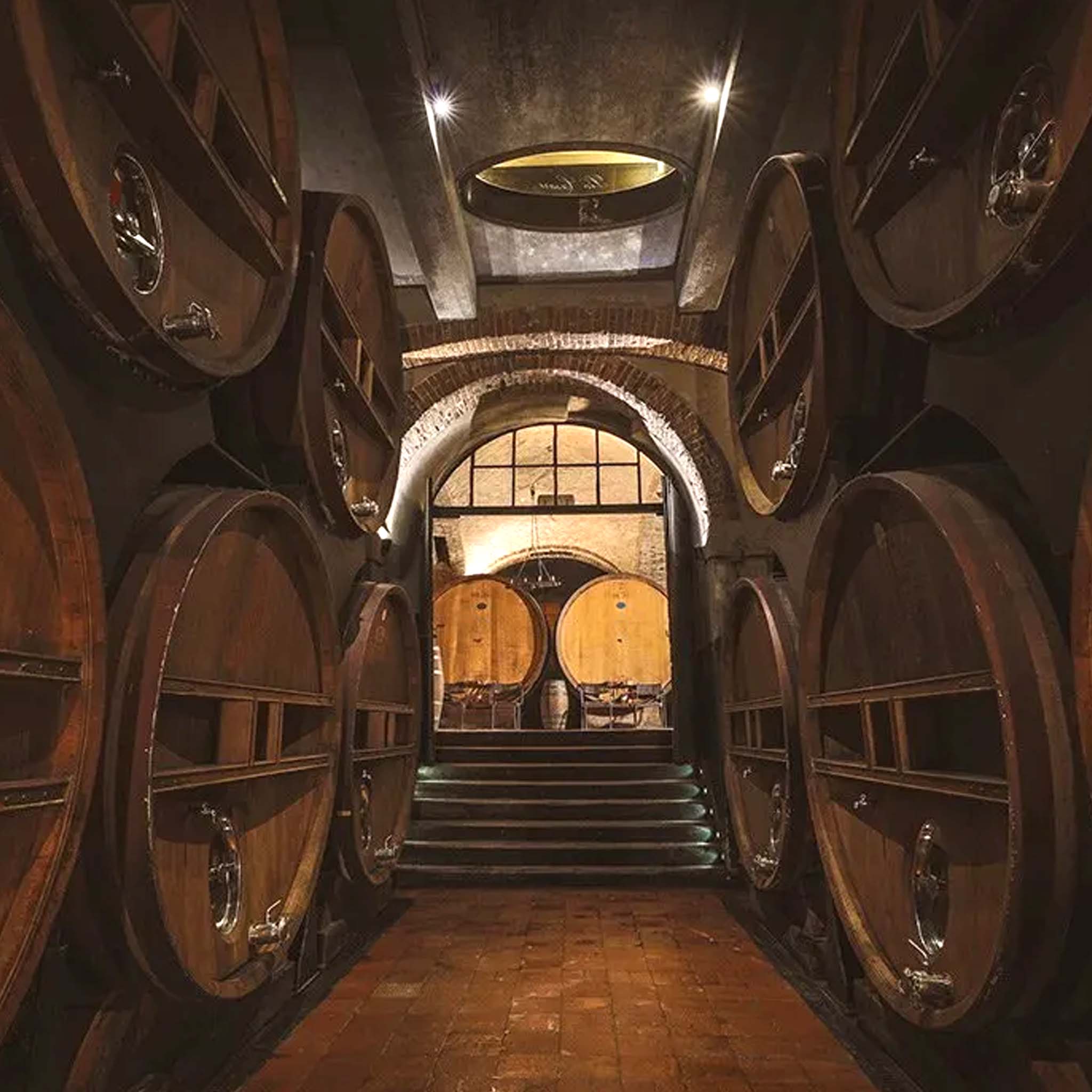 Pio Cesare Barbaresco Pio D.O.C.G. 2021