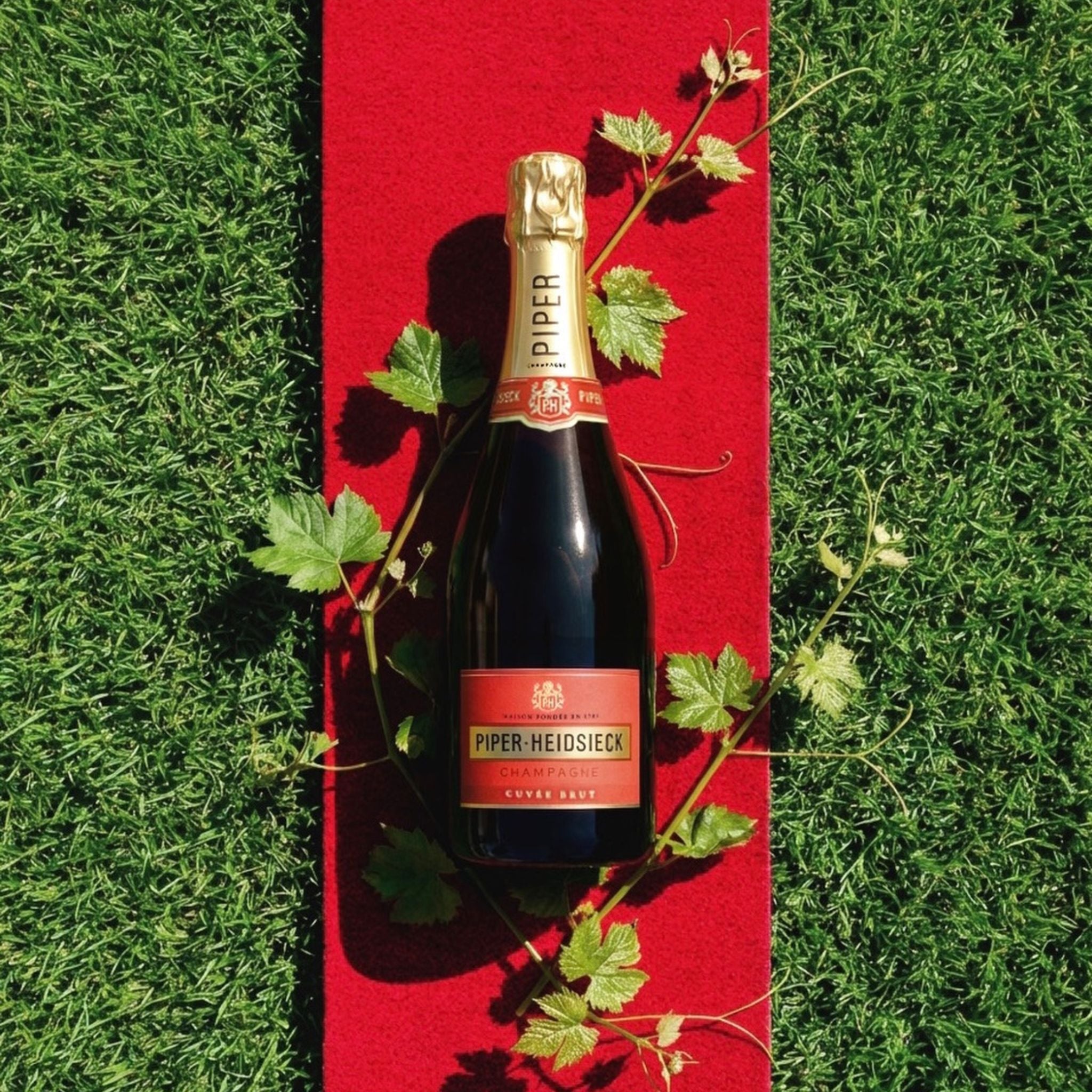 Piper Heidsieck Brut Champagne NV 9L
