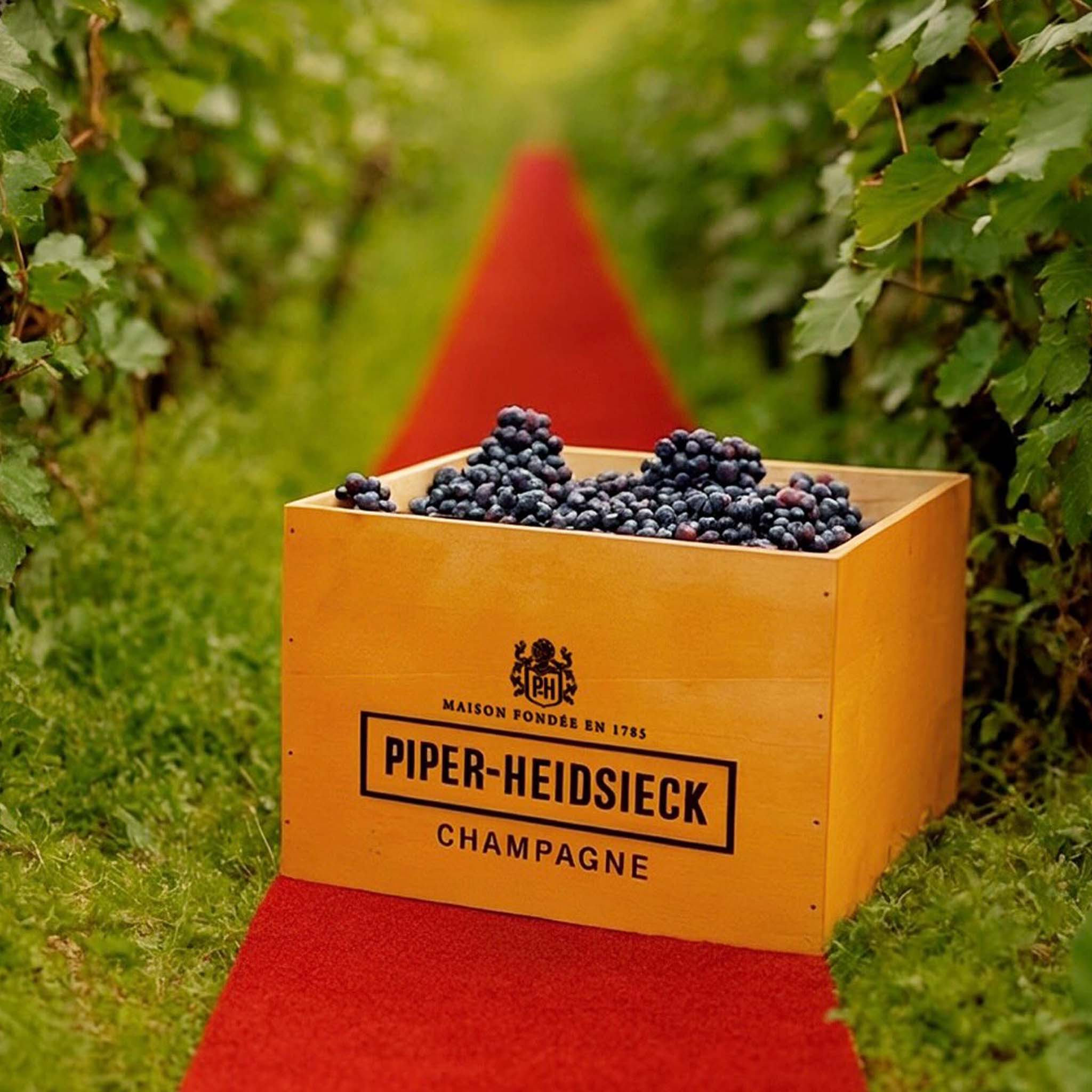Piper Heidsieck Brut Champagne NV 9L