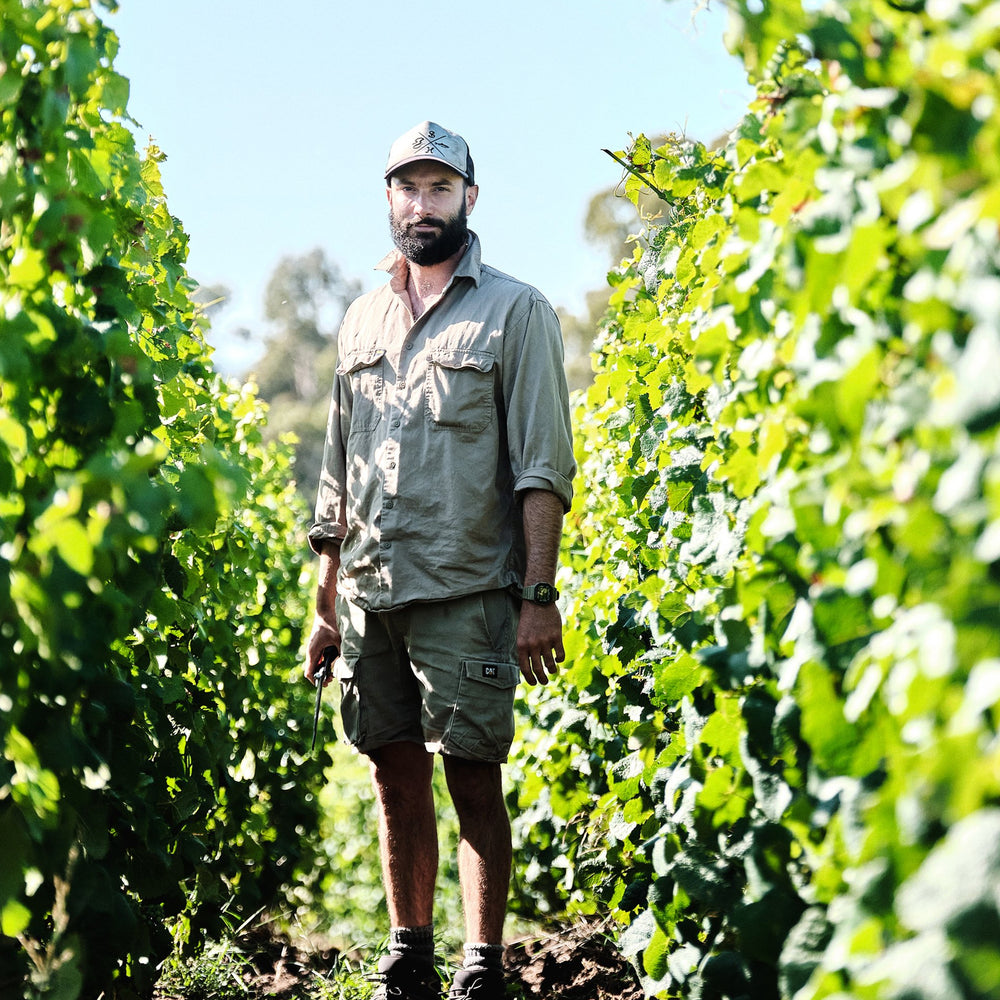 Place of Changing Winds Between Two Mountains Pinot Noir 2023