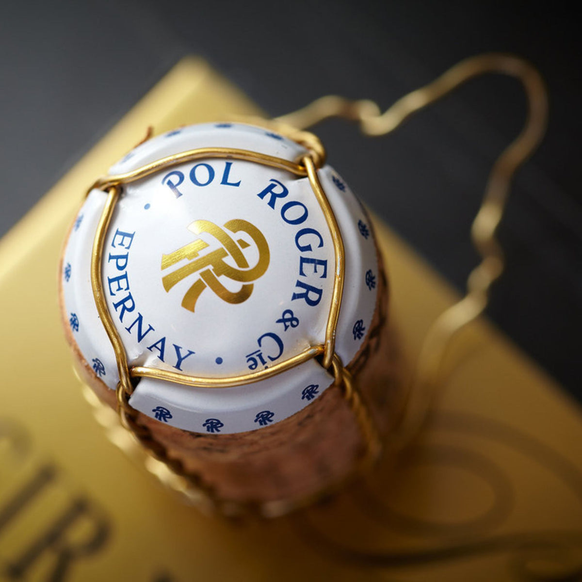 Pol Roger Brut Rosé Vintage 2019