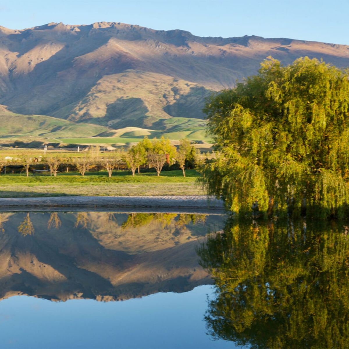 Prophet's Rock Cuvee Aux Antipodes Pinot Noir 2022