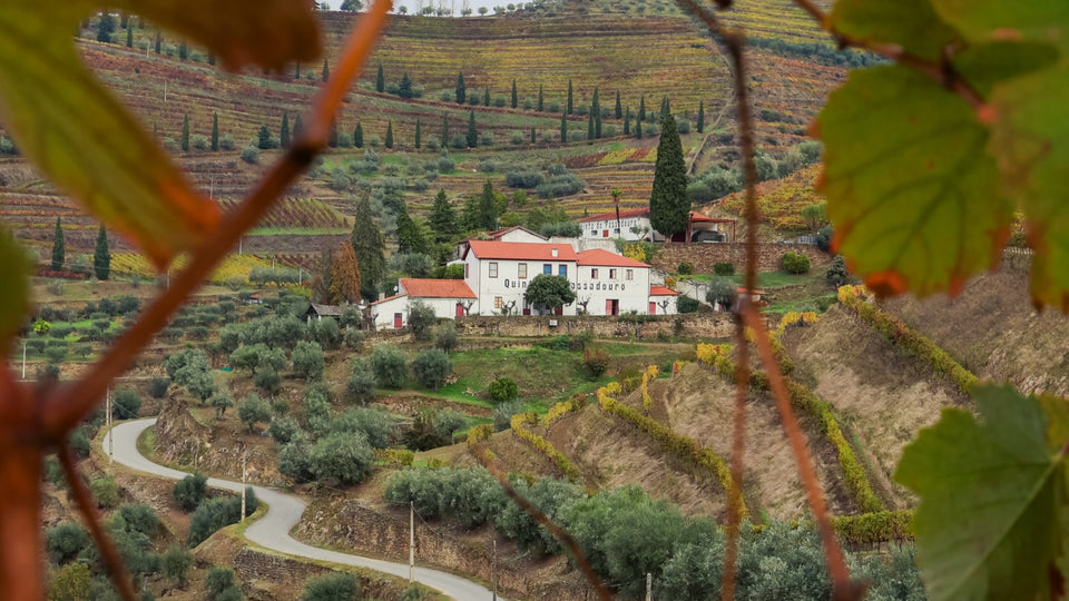 Quinta do Noval brand story