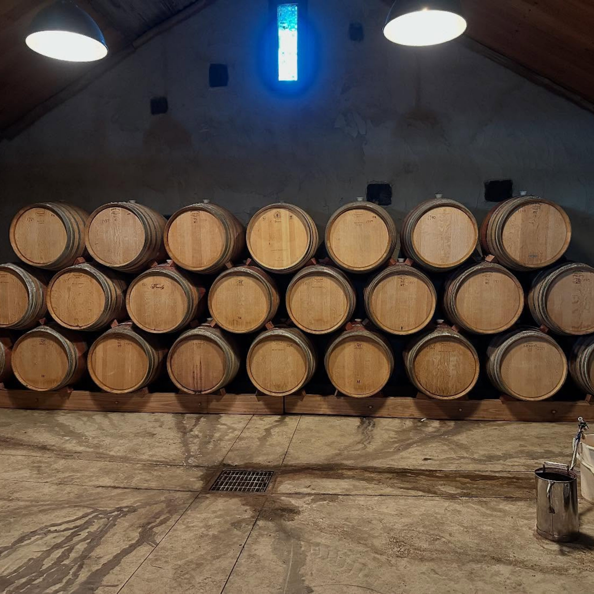 Ravensworth Estate Shiraz Viognier 2023