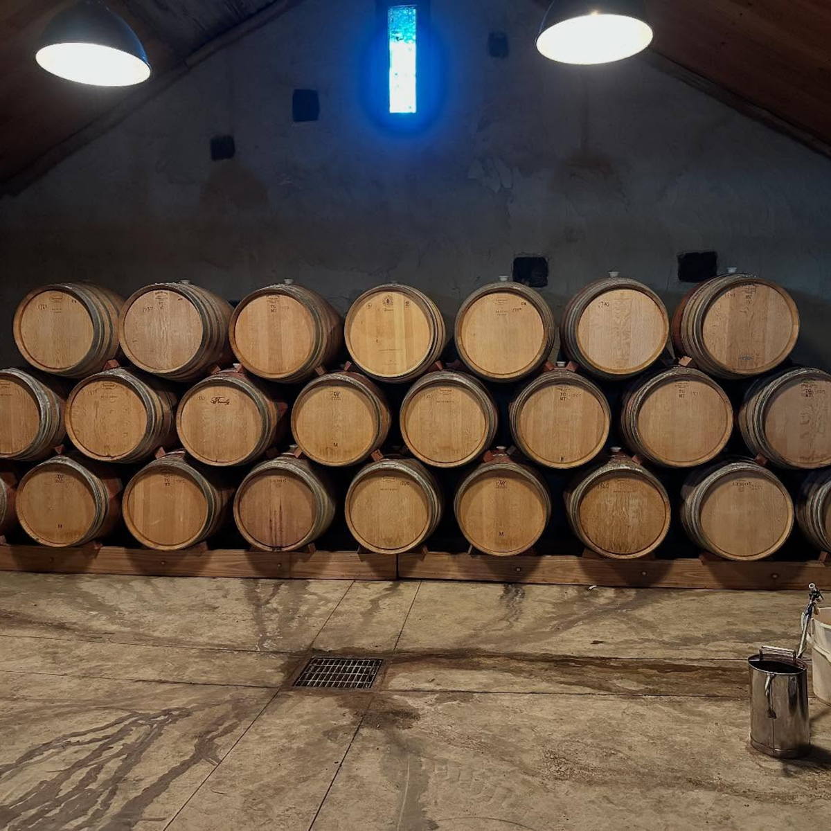 Ravensworth Estate Shiraz Viognier 2023