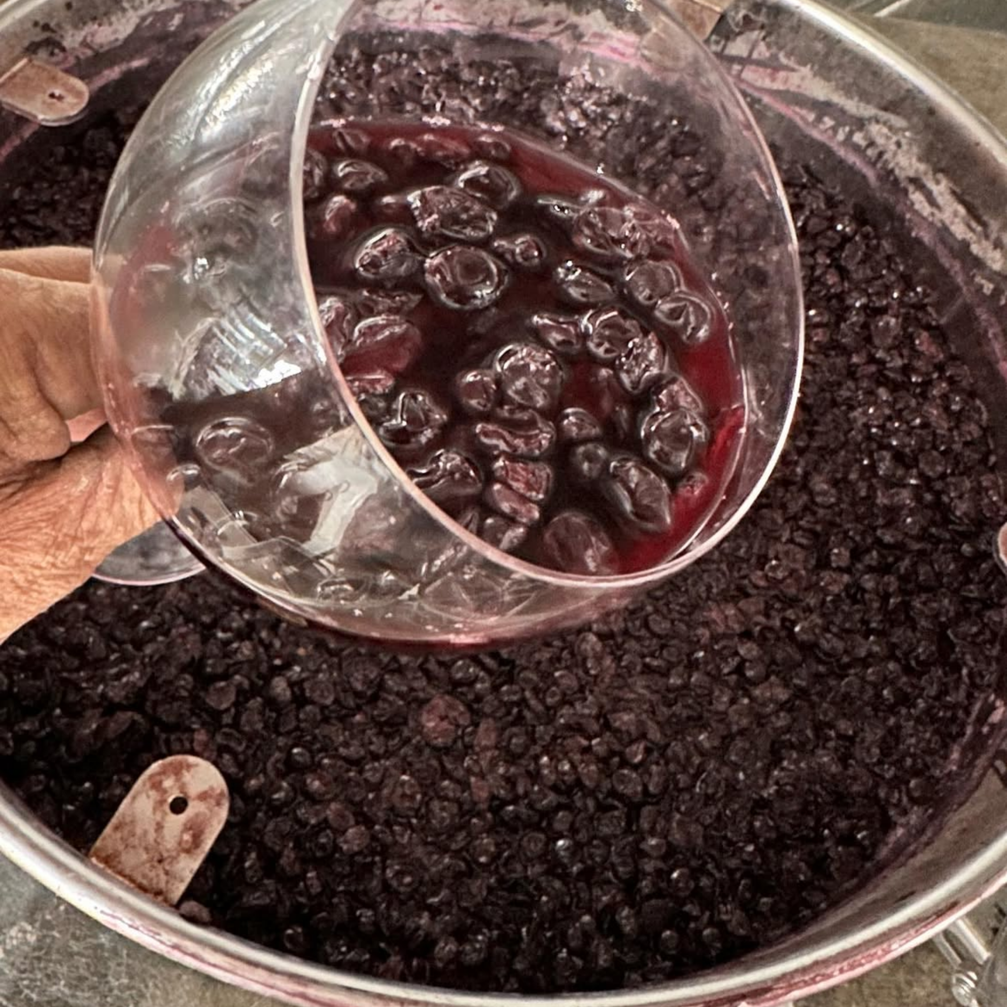 Ravensworth Estate Shiraz Viognier 2023