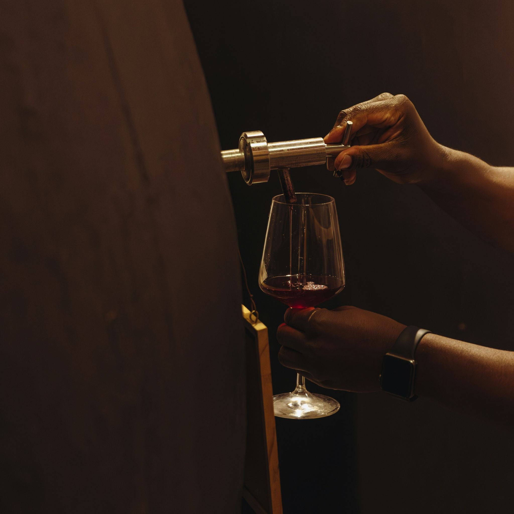 Domaine Meo-Camuzet Frere et Soeur Chambolle Musigny 2023