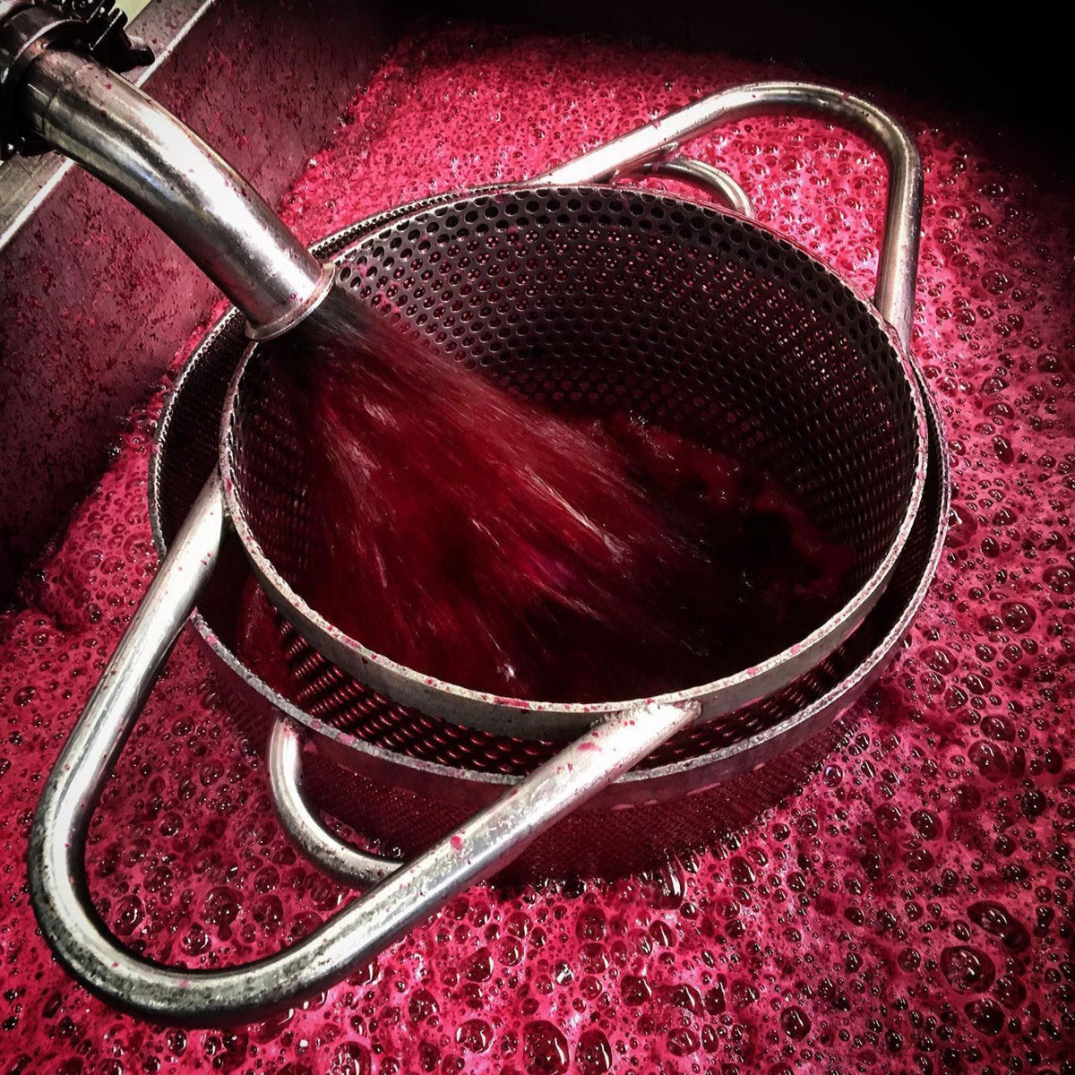 Leeuwin's philosophy is to produce red varietals that are true to their site and sense of place—understanding, respecting, and nurturing each varietal from vine to bottle. - Kent Street Cellars