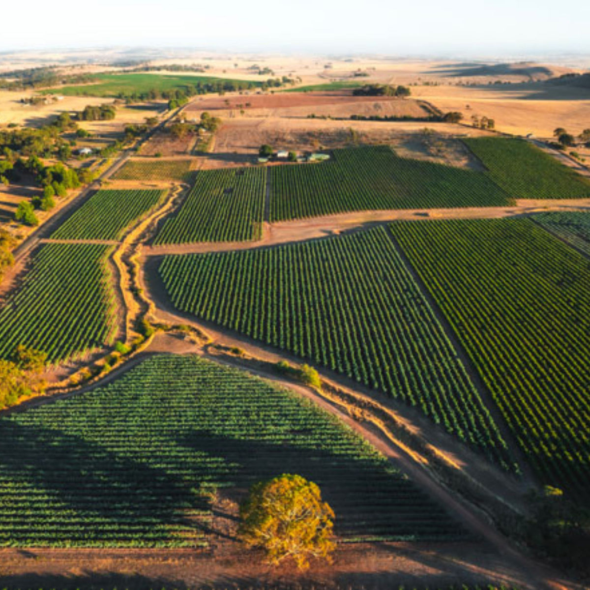 Rieslingfreak No.9 Clare Valley Sekt Sparkling Riesling 2022