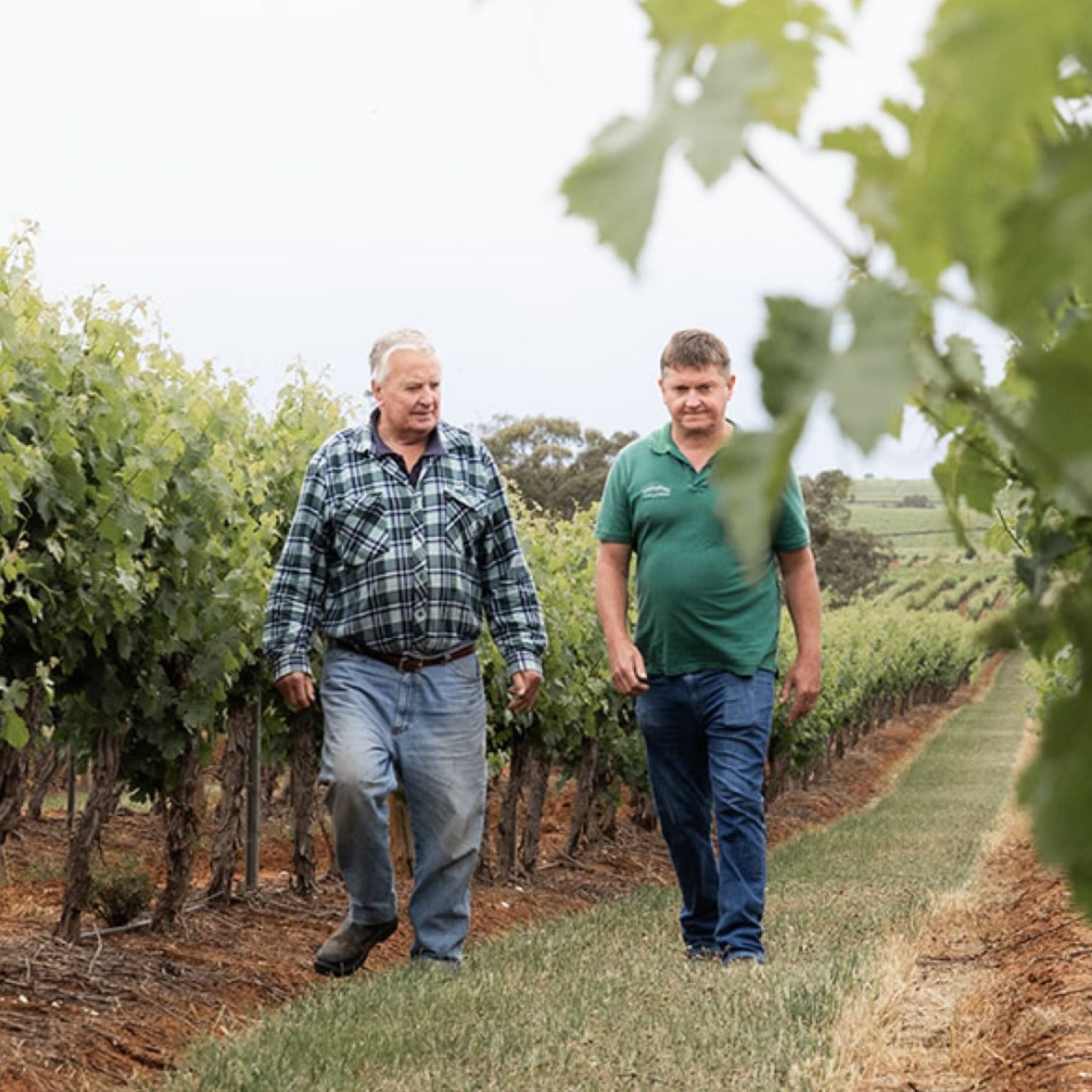 The Philosophy | Rieslingfreak